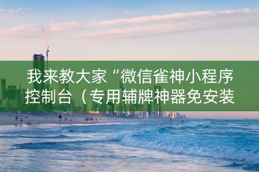 我来教大家“微信雀神小程序控制台（专用辅牌神器免安装）