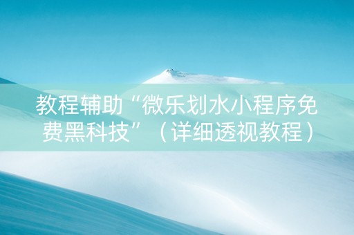 教程辅助“微乐划水小程序免费黑科技”（详细透视教程）-哔哩哔哩