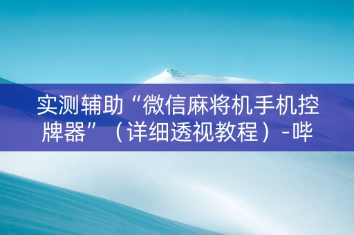 实测辅助“微信麻将机手机控牌器”（详细透视教程）-哔哩哔哩