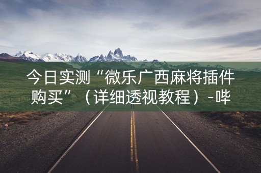 今日实测“微乐广西麻将插件购买”（详细透视教程）-哔哩哔哩
