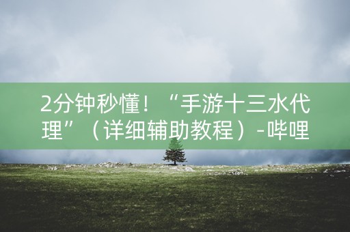 2分钟秒懂！“手游十三水代理”（详细辅助教程）-哔哩哔哩