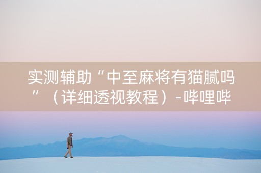 实测辅助“中至麻将有猫腻吗”（详细透视教程）-哔哩哔哩