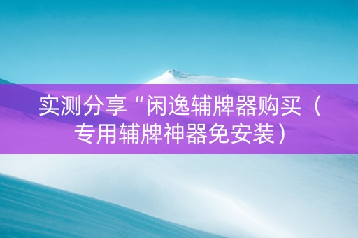 实测分享“闲逸辅牌器购买（专用辅牌神器免安装）