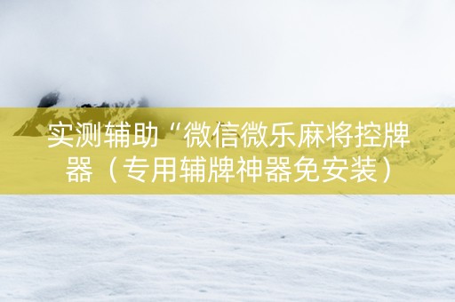 实测辅助“微信微乐麻将控牌器（专用辅牌神器免安装）