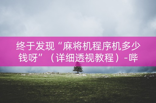 终于发现“麻将机程序机多少钱呀”（详细透视教程）-哔哩哔哩