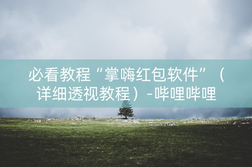 必看教程“掌嗨红包软件”（详细透视教程）-哔哩哔哩