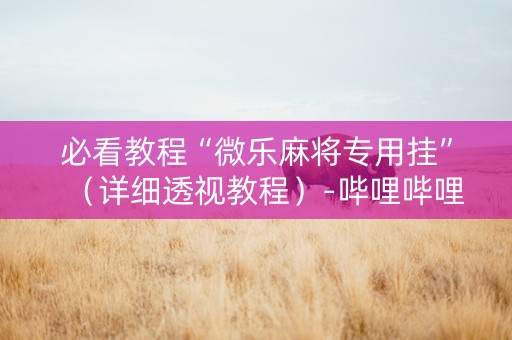 必看教程“微乐麻将专用挂”（详细透视教程）-哔哩哔哩