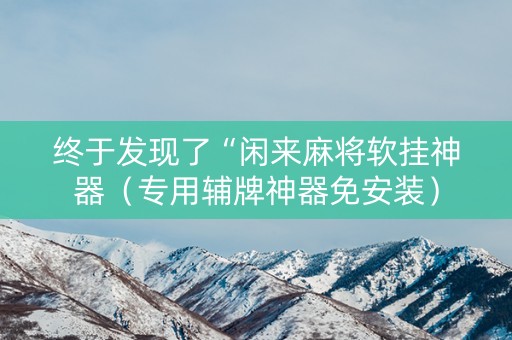终于发现了“闲来麻将软挂神器（专用辅牌神器免安装）