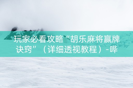 玩家必看攻略“胡乐麻将赢牌诀窍”（详细透视教程）-哔哩哔哩