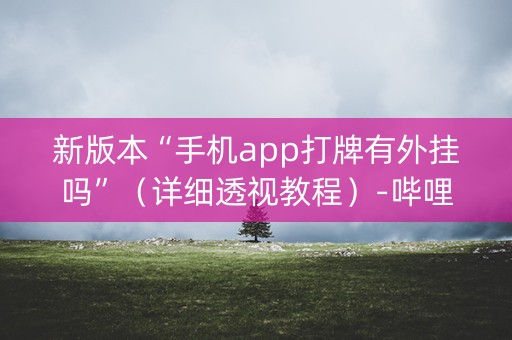 新版本“手机app打牌有外挂吗”（详细透视教程）-哔哩哔哩