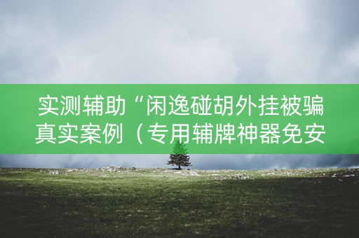 实测辅助“闲逸碰胡外挂被骗真实案例（专用辅牌神器免安装）