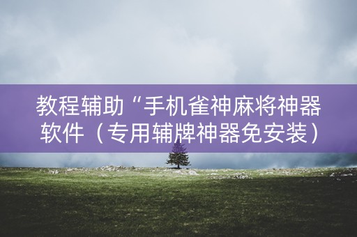 教程辅助“手机雀神麻将神器软件（专用辅牌神器免安装）