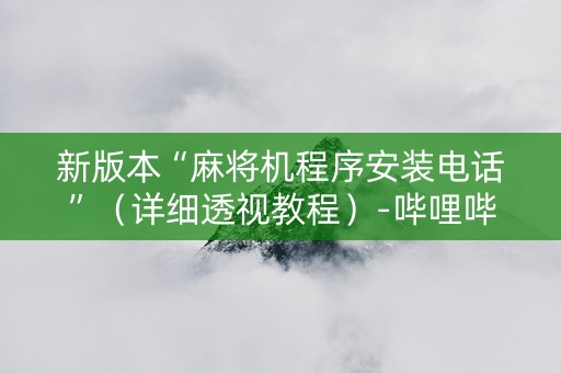 新版本“麻将机程序安装电话”（详细透视教程）-哔哩哔哩