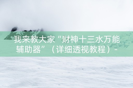 我来教大家“财神十三水万能辅助器”（详细透视教程）-哔哩哔哩