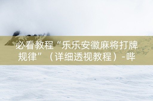 必看教程“乐乐安徽麻将打牌规律”（详细透视教程）-哔哩哔哩