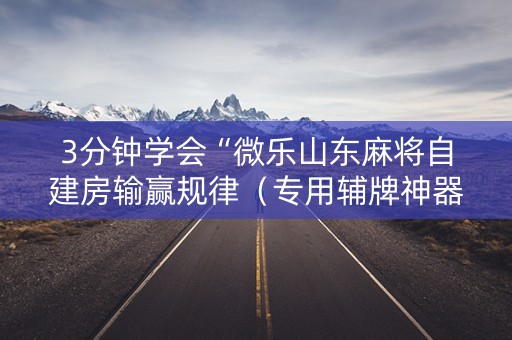 3分钟学会“微乐山东麻将自建房输赢规律（专用辅牌神器免安装）