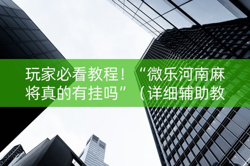 玩家必看教程！“微乐河南麻将真的有挂吗”（详细辅助教程）-哔哩哔哩