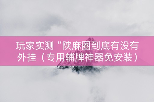玩家实测“陕麻圈到底有没有外挂（专用辅牌神器免安装）