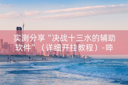 实测分享“决战十三水的辅助软件”（详细开挂教程）-哔哩哔哩