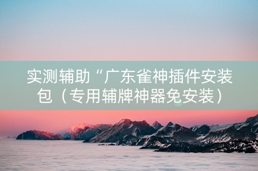 实测辅助“广东雀神插件安装包（专用辅牌神器免安装）