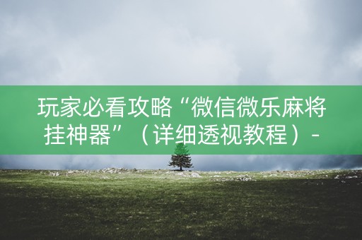 玩家必看攻略“微信微乐麻将挂神器”（详细透视教程）-哔哩哔哩