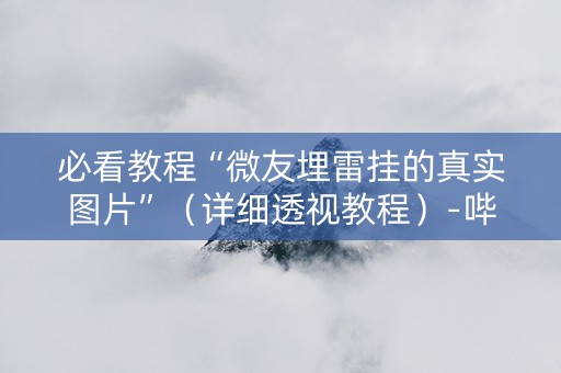 必看教程“微友埋雷挂的真实图片”（详细透视教程）-哔哩哔哩