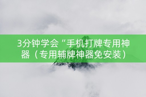 3分钟学会“手机打牌专用神器（专用辅牌神器免安装）