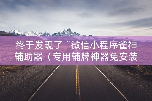 终于发现了“微信小程序雀神辅助器（专用辅牌神器免安装）