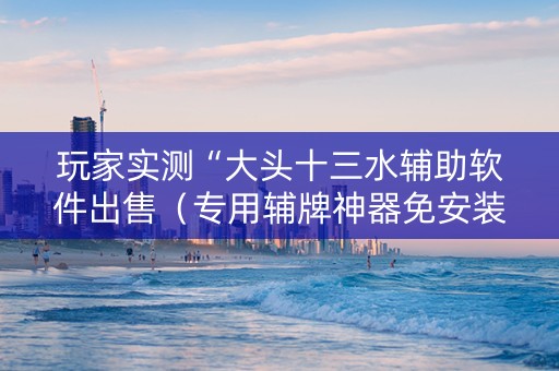 玩家实测“大头十三水辅助软件出售（专用辅牌神器免安装）