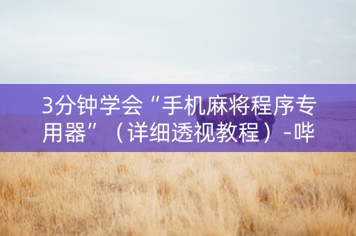 3分钟学会“手机麻将程序专用器”（详细透视教程）-哔哩哔哩