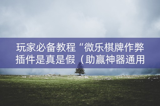 玩家必备教程“微乐棋牌作弊插件是真是假（助赢神器通用版）