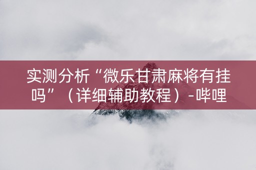 实测分析“微乐甘肃麻将有挂吗”（详细辅助教程）-哔哩哔哩