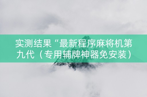 实测结果“最新程序麻将机第九代（专用辅牌神器免安装）