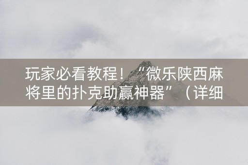 玩家必看教程！“微乐陕西麻将里的扑克助赢神器”（详细辅助教程）-哔哩哔哩