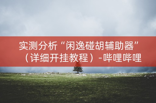 实测分析“闲逸碰胡辅助器”（详细开挂教程）-哔哩哔哩