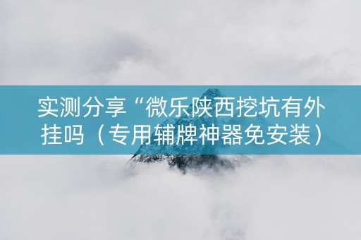 实测分享“微乐陕西挖坑有外挂吗（专用辅牌神器免安装）