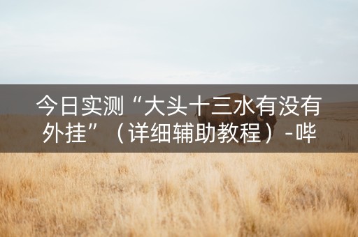 今日实测“大头十三水有没有外挂”（详细辅助教程）-哔哩哔哩