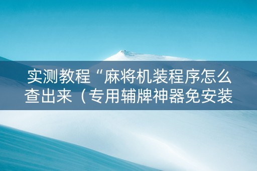 实测教程“麻将机装程序怎么查出来（专用辅牌神器免安装）