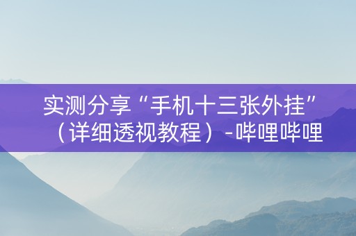 实测分享“手机十三张外挂”（详细透视教程）-哔哩哔哩