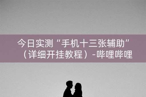 今日实测“手机十三张辅助”（详细开挂教程）-哔哩哔哩
