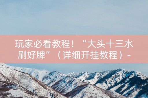 玩家必看教程！“大头十三水刷好牌”（详细开挂教程）-哔哩哔哩