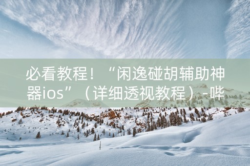 必看教程！“闲逸碰胡辅助神器ios”（详细透视教程）-哔哩哔哩
