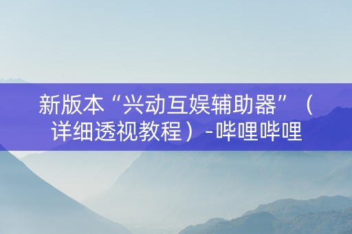 新版本“兴动互娱辅助器”（详细透视教程）-哔哩哔哩