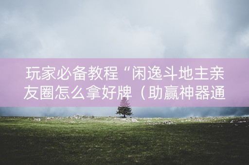 玩家必备教程“闲逸斗地主亲友圈怎么拿好牌（助赢神器通用版）