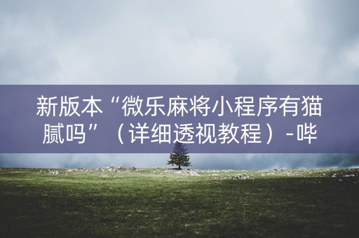 新版本“微乐麻将小程序有猫腻吗”（详细透视教程）-哔哩哔哩