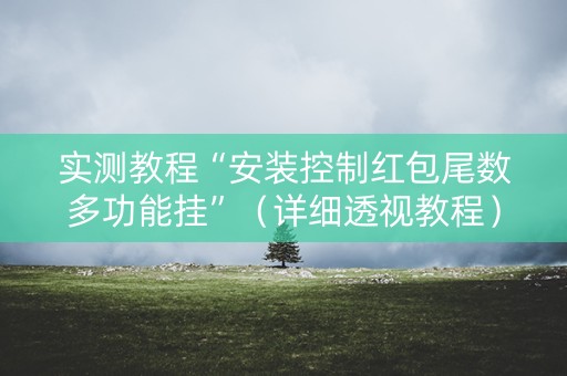 实测教程“安装控制红包尾数多功能挂”（详细透视教程）-哔哩哔哩