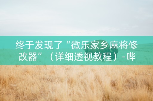 终于发现了“微乐家乡麻将修改器”（详细透视教程）-哔哩哔哩