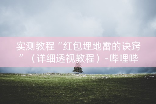 实测教程“红包埋地雷的诀窍”（详细透视教程）-哔哩哔哩