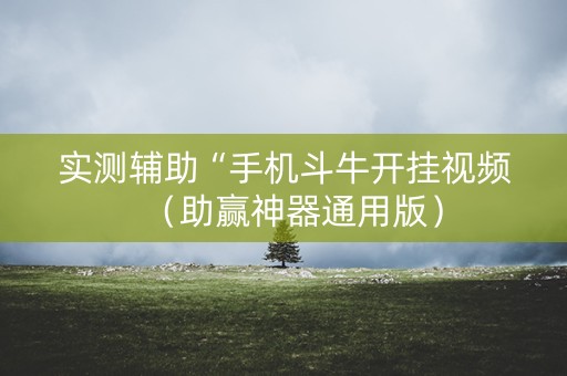 实测辅助“手机斗牛开挂视频（助赢神器通用版）