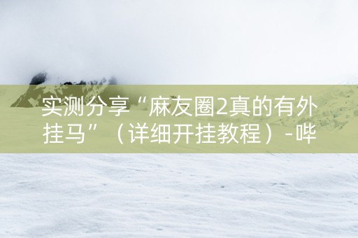 实测分享“麻友圈2真的有外挂马”（详细开挂教程）-哔哩哔哩